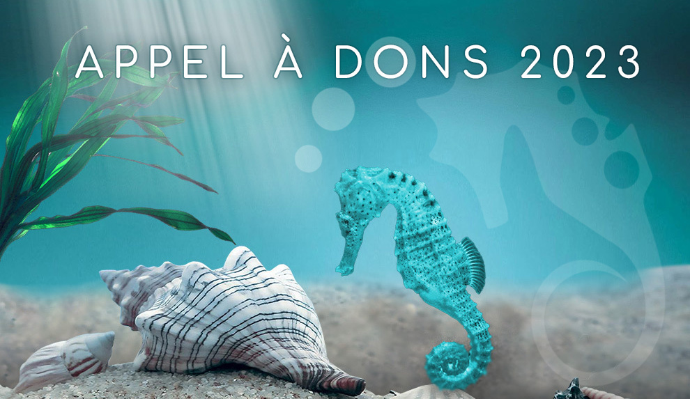 Appel à dons 2023